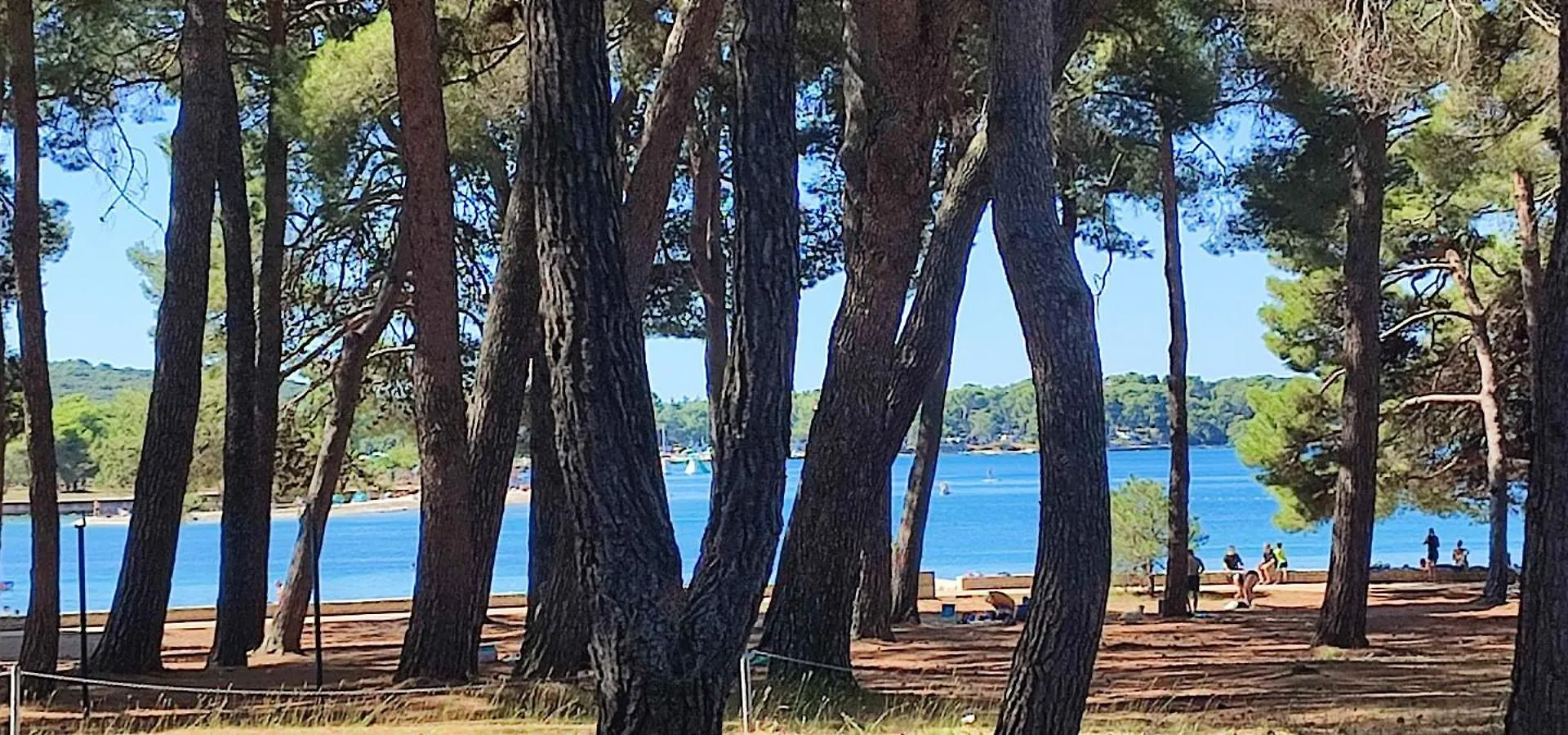 Apartment Lilli Fazana 2 Erwachsene 2 Kinder Valbandon Croatia